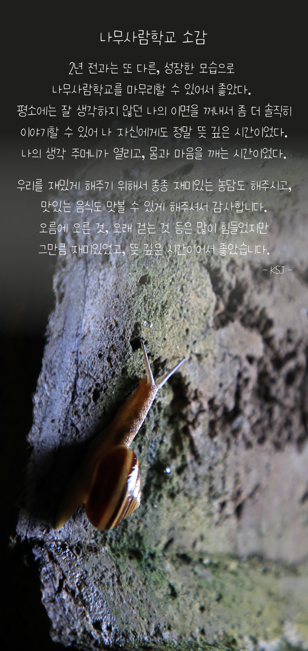 535efb0845cfe.png