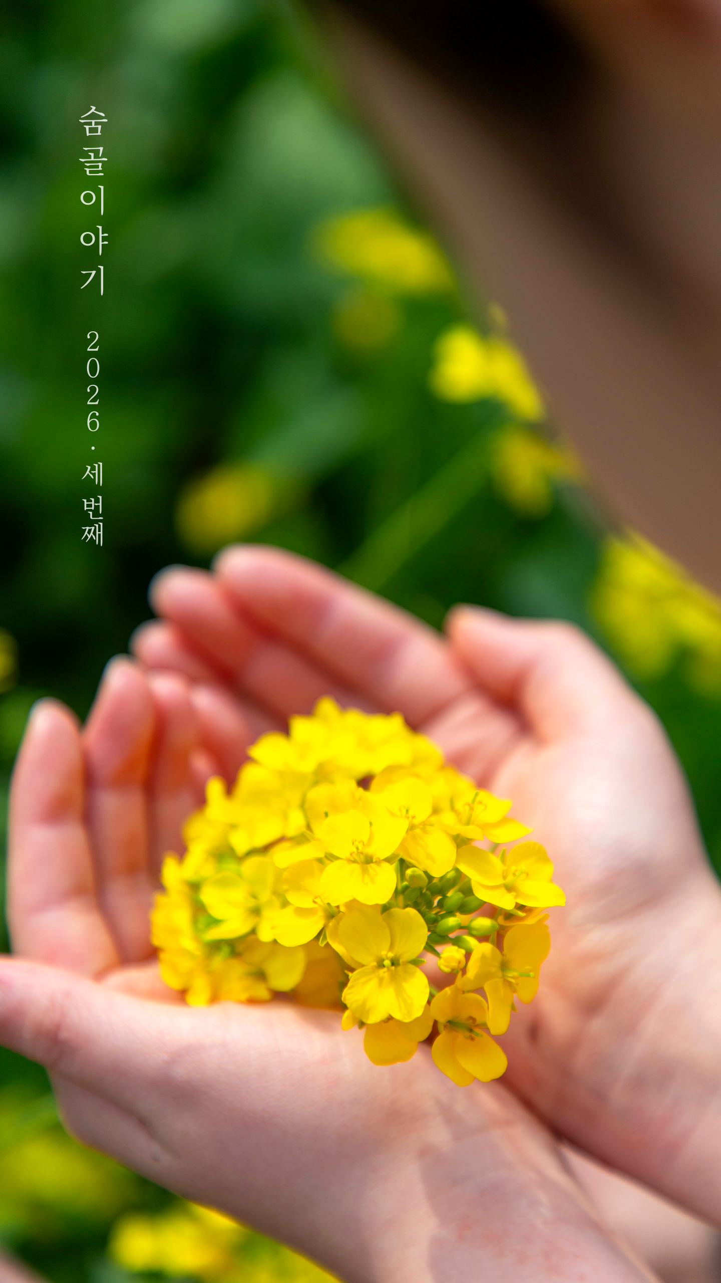 84cc743c39381.png