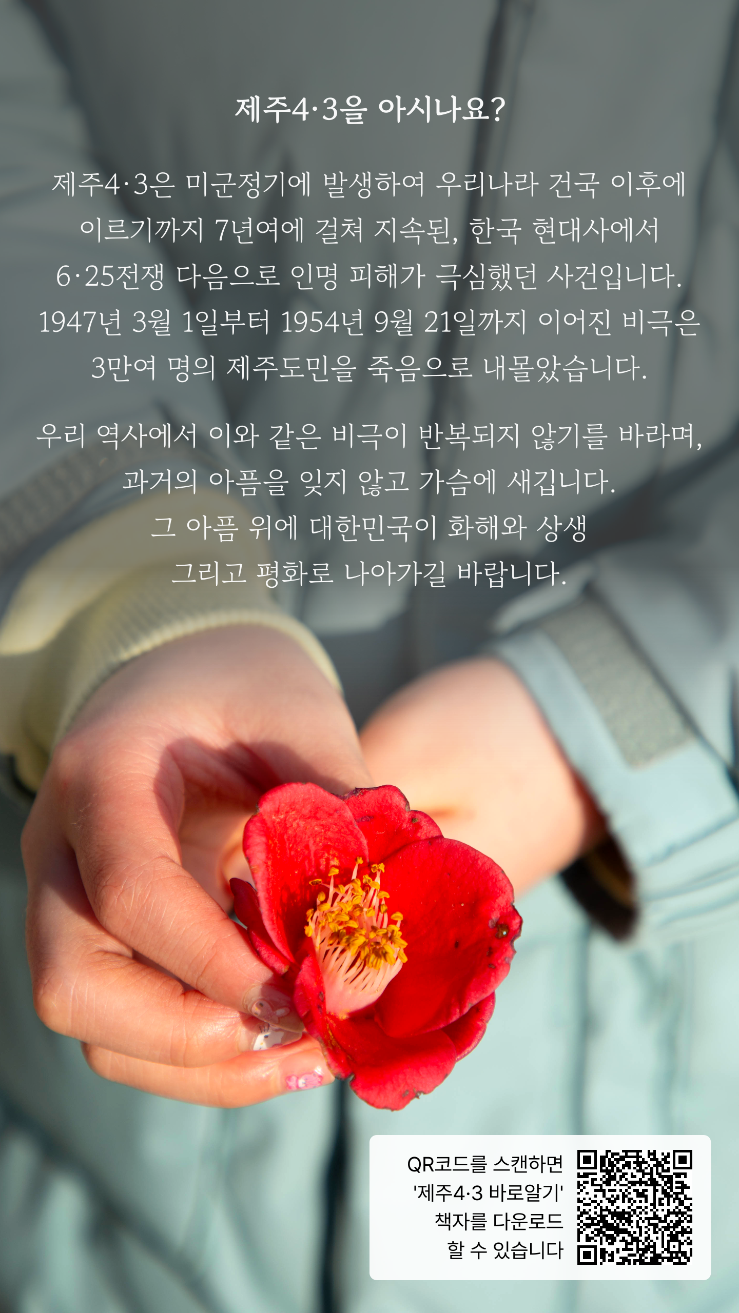 86b063aa12ac1.png