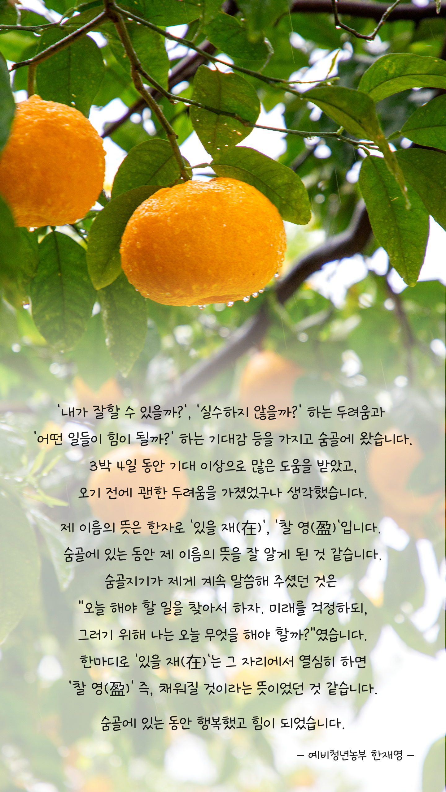 91e92511a8283.png