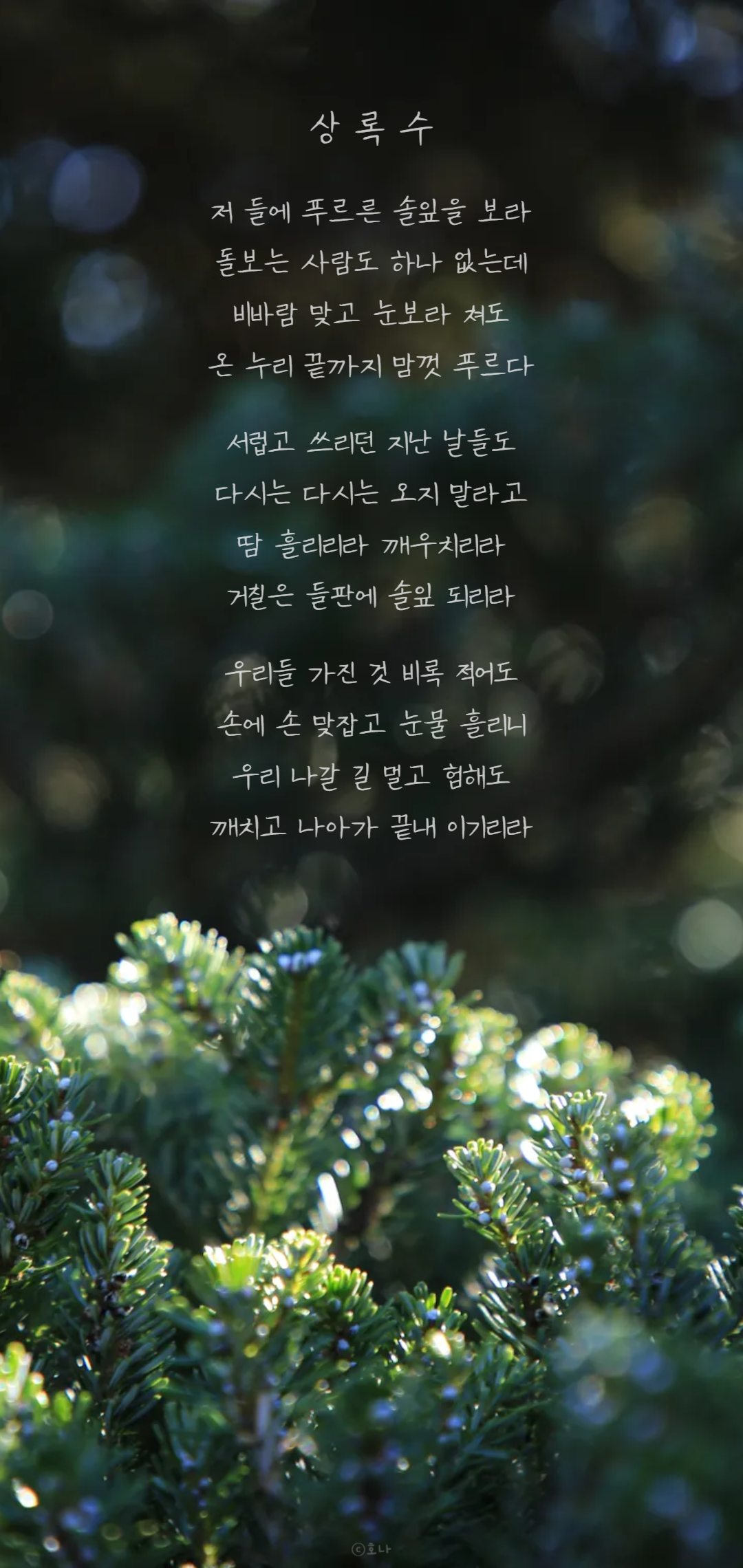 96f96c0969f81.png