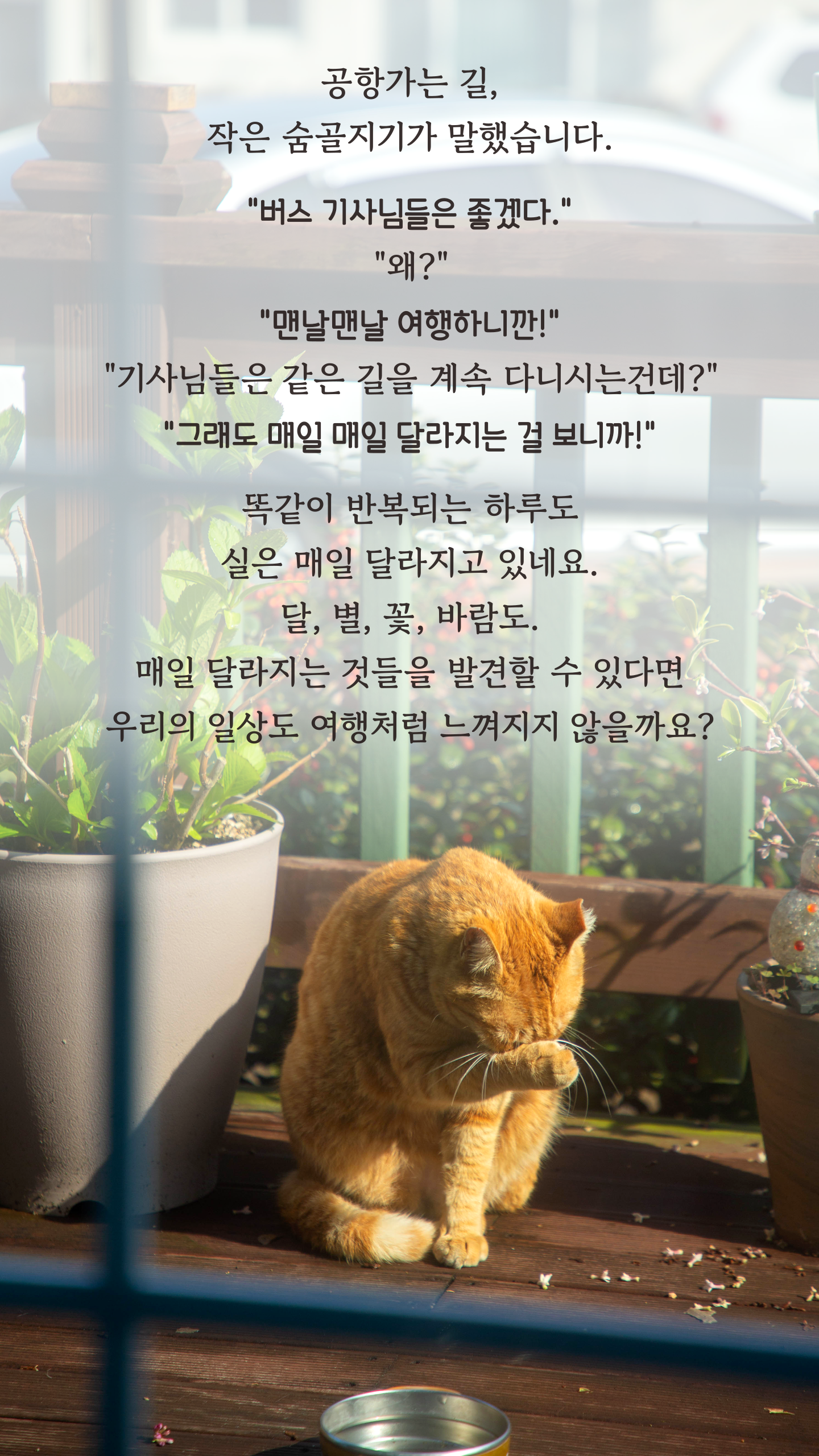 a032fc2a38792.png
