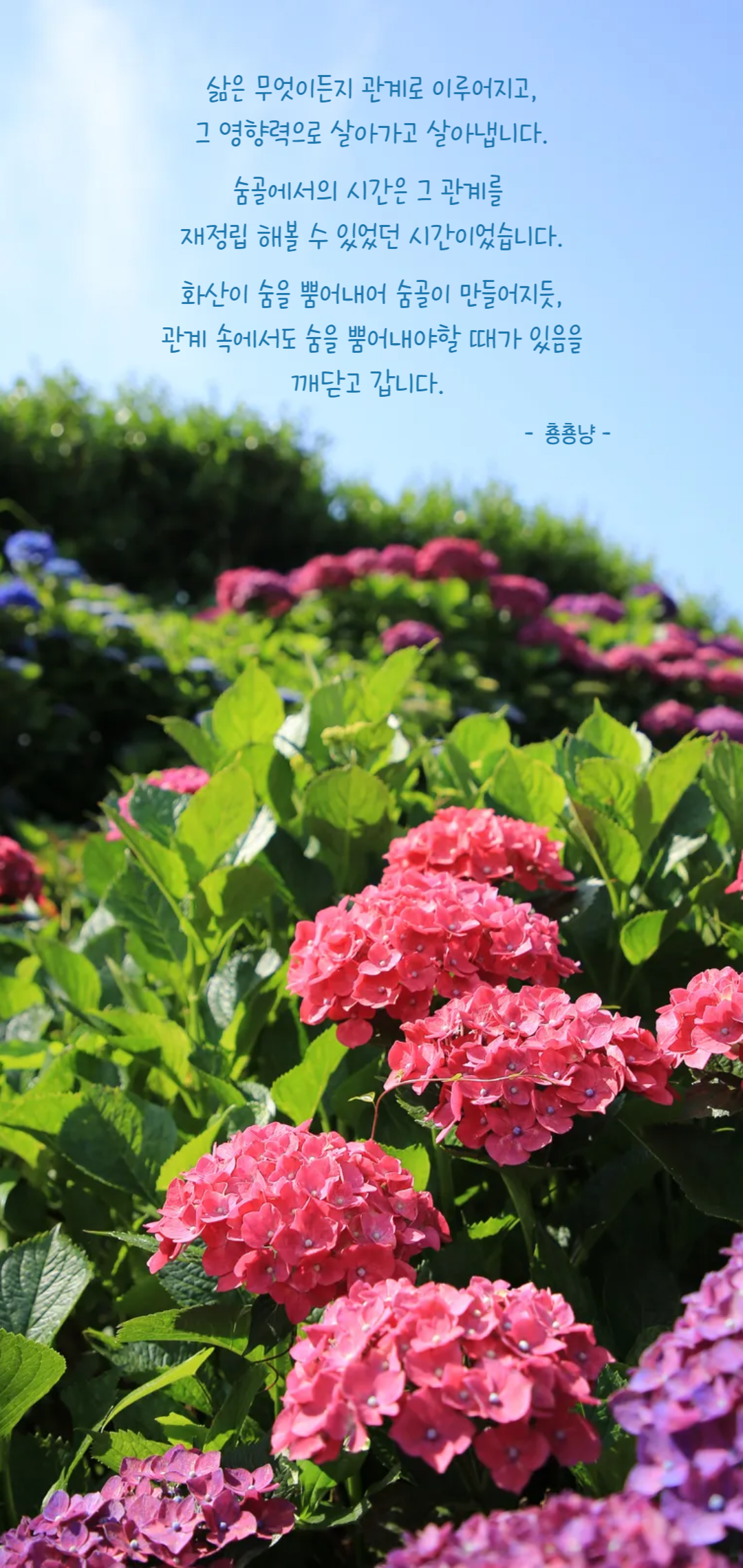 a48d582e683e5.png