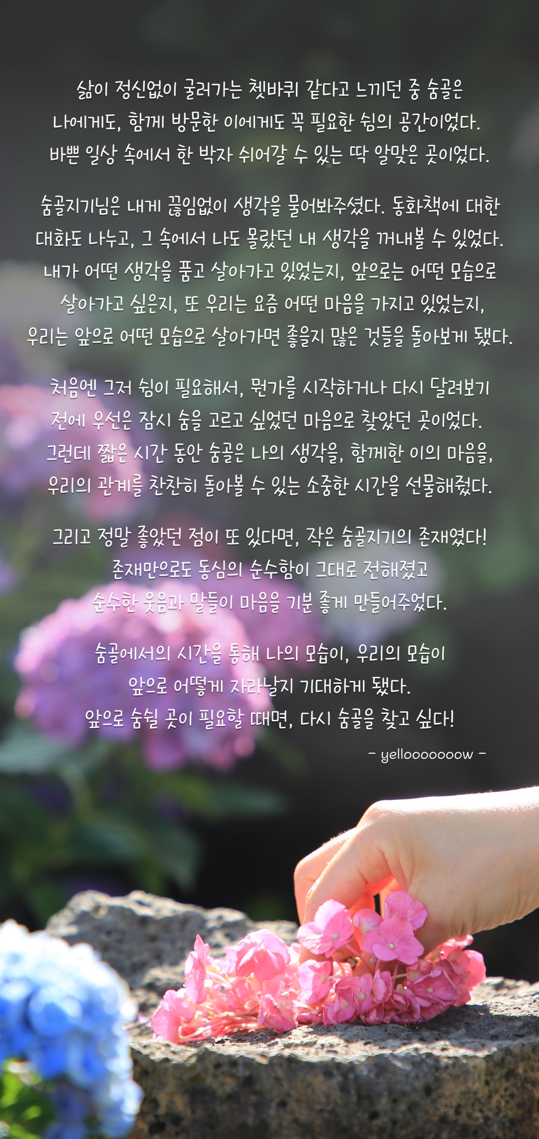 b317123a97936.png