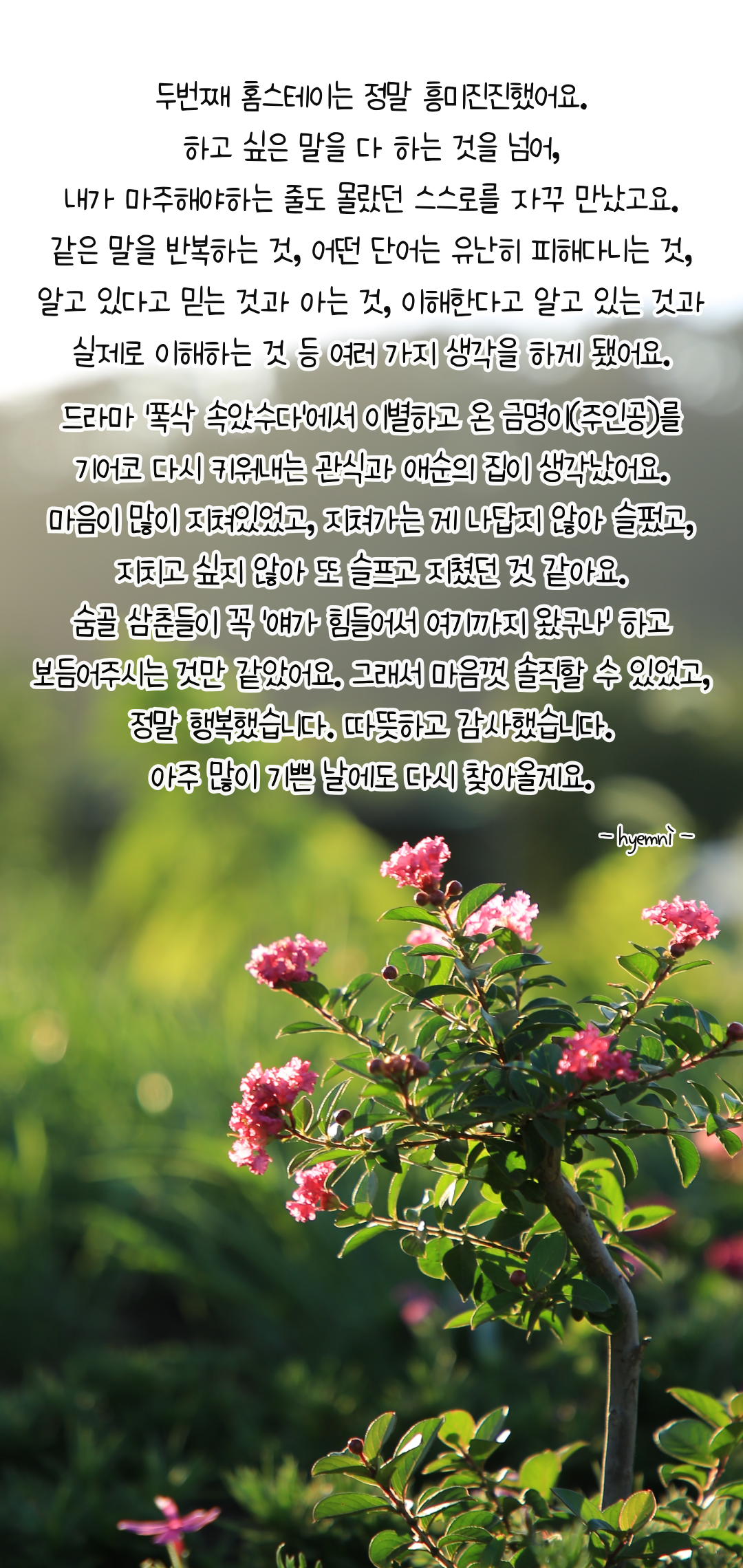 b500aac49db16.png