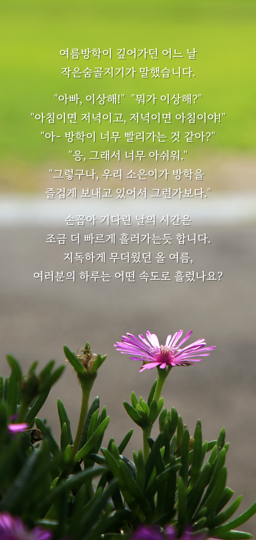 ba558782098fe.png