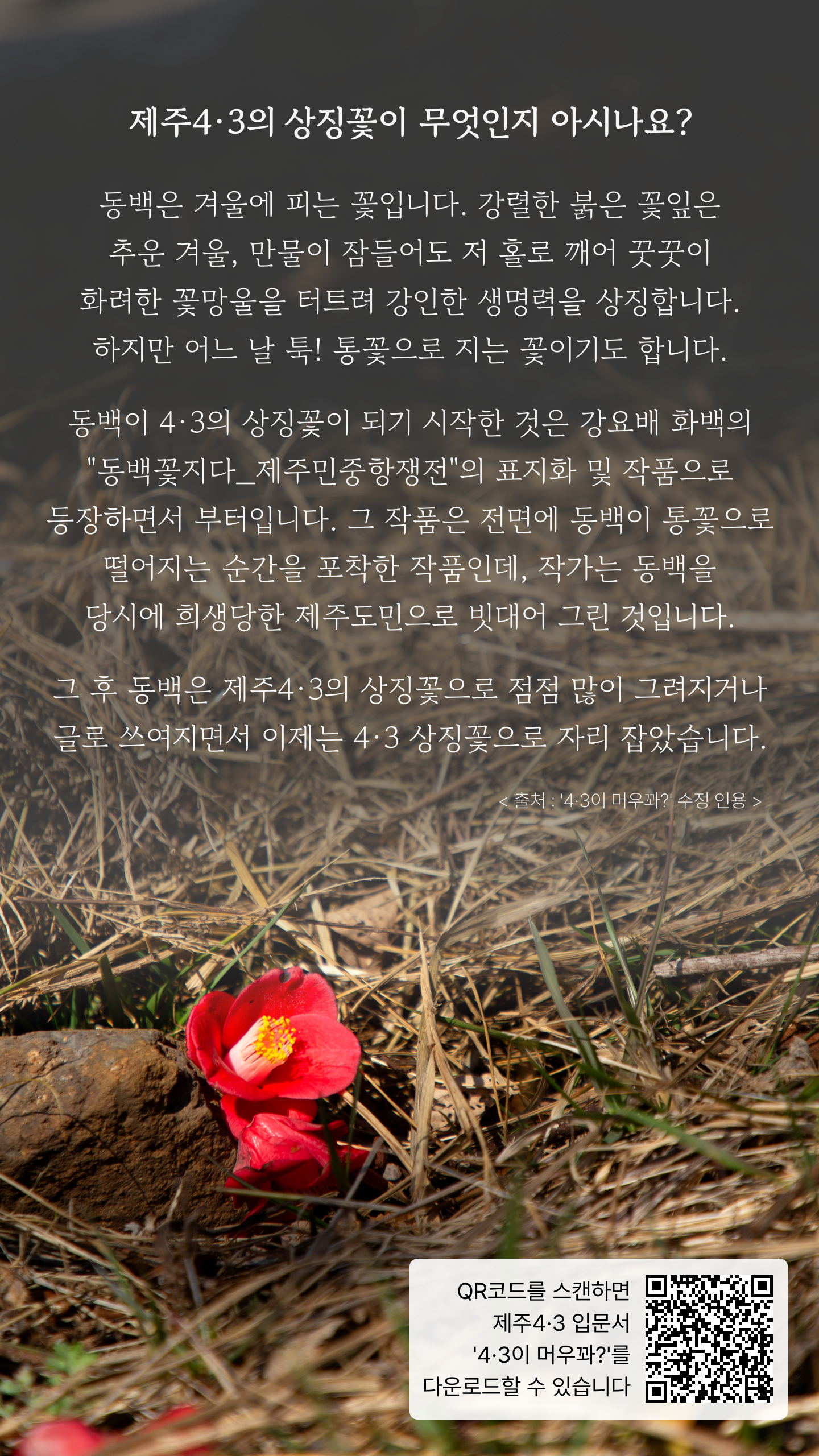 f4998033929e7.png