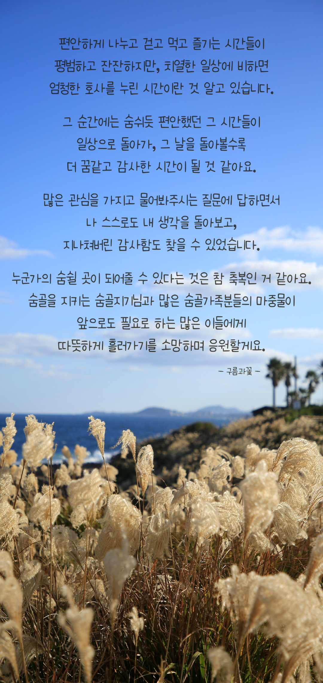 fa45a292426d3.png