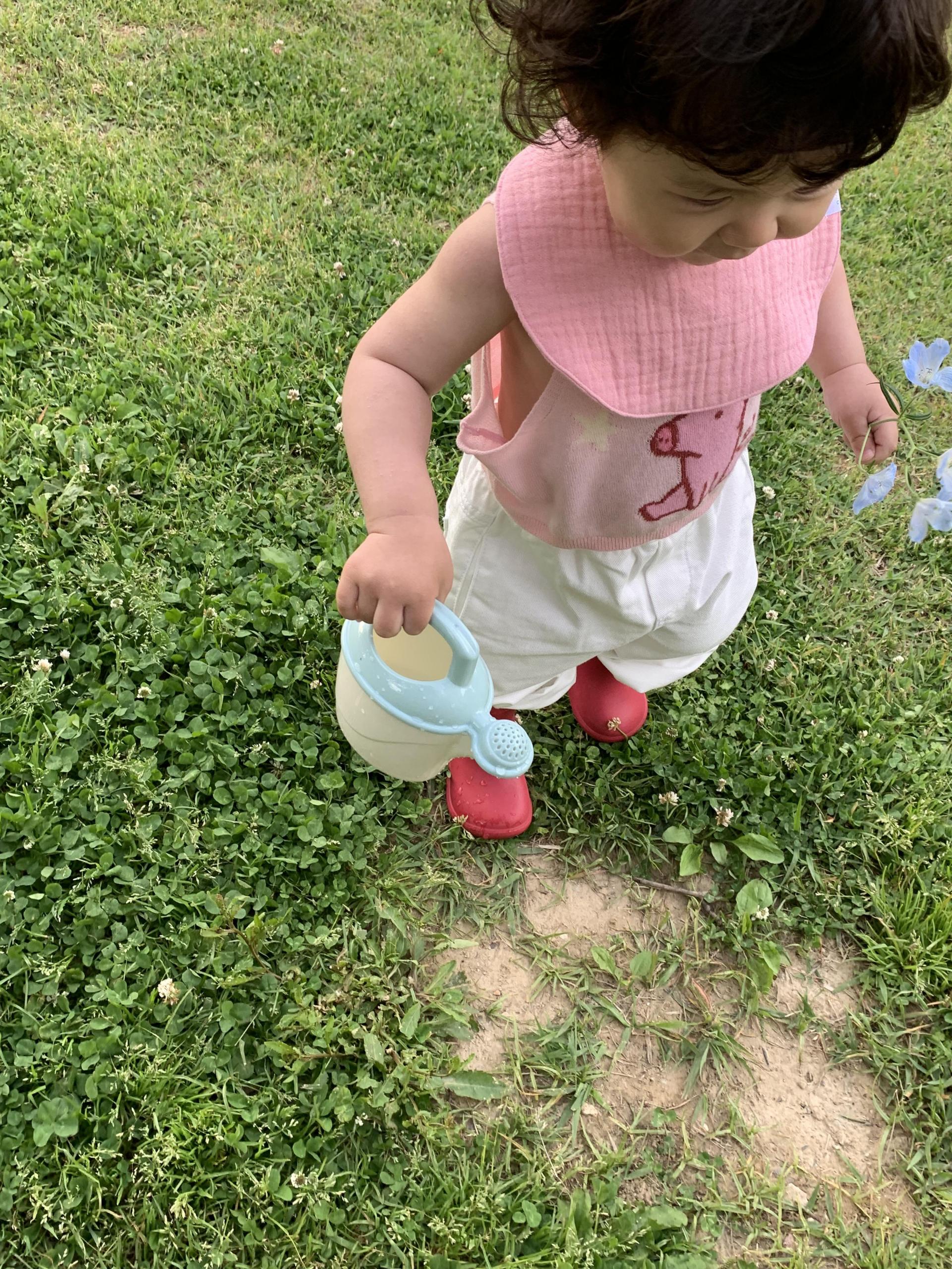 Boni Bib
