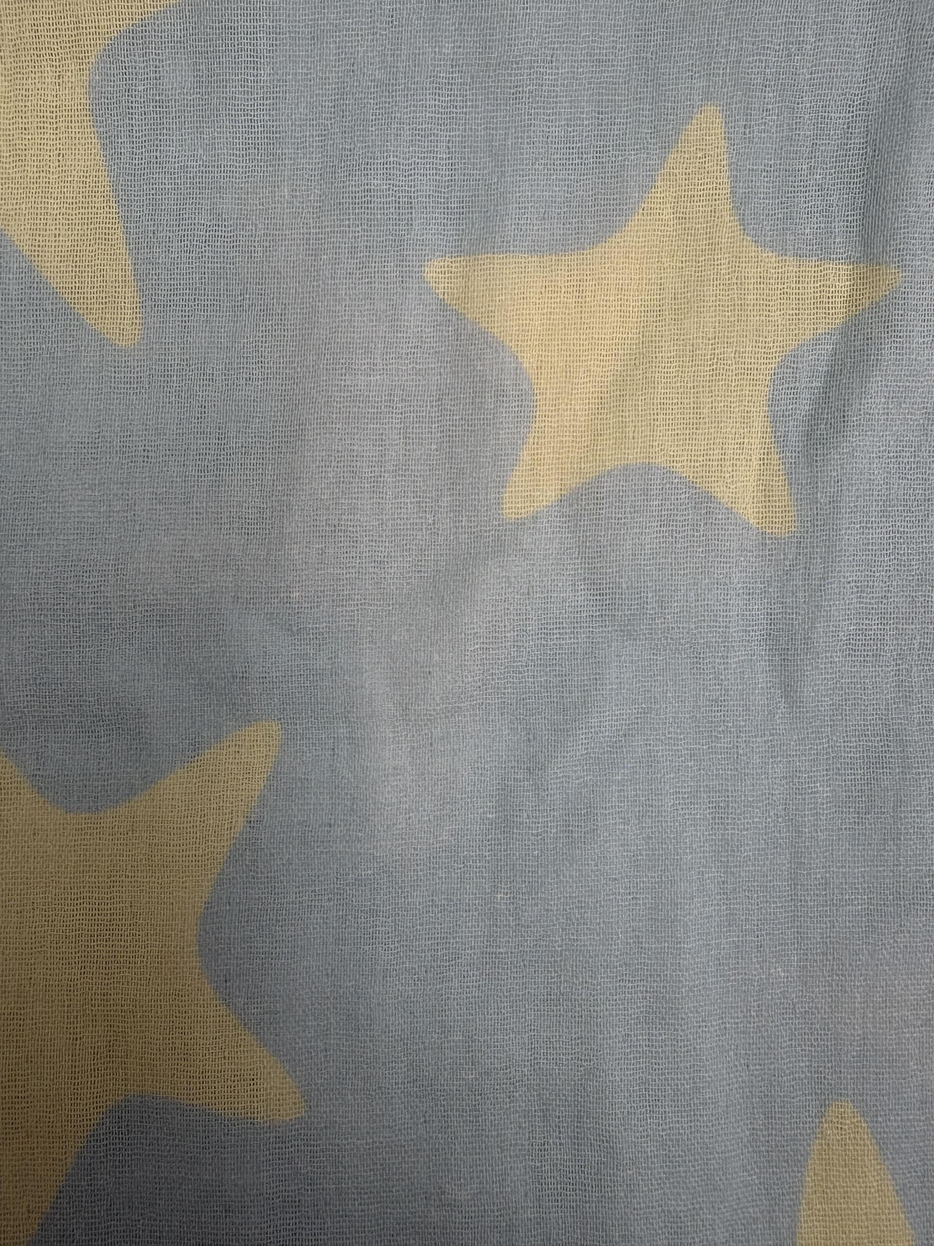 [3rd Pre-order]PG Star Blanket