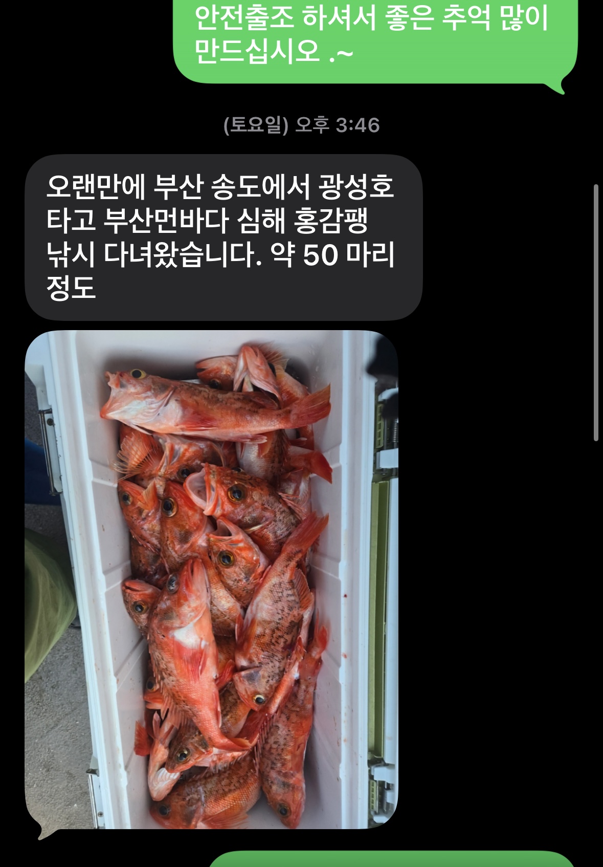 홍감팽이 1.jpg
