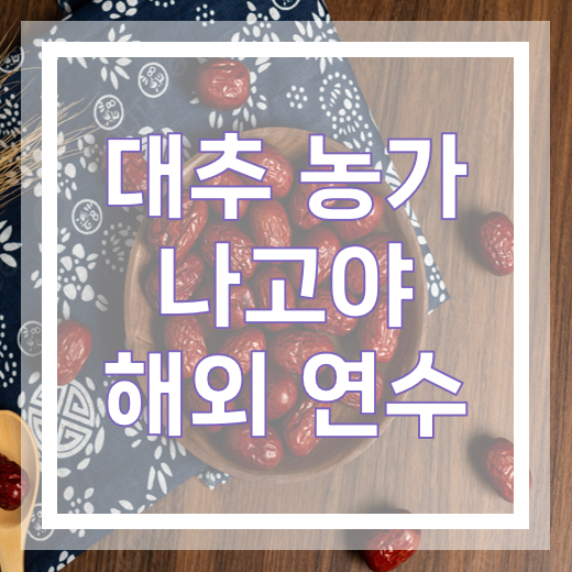 참고 이미지 1