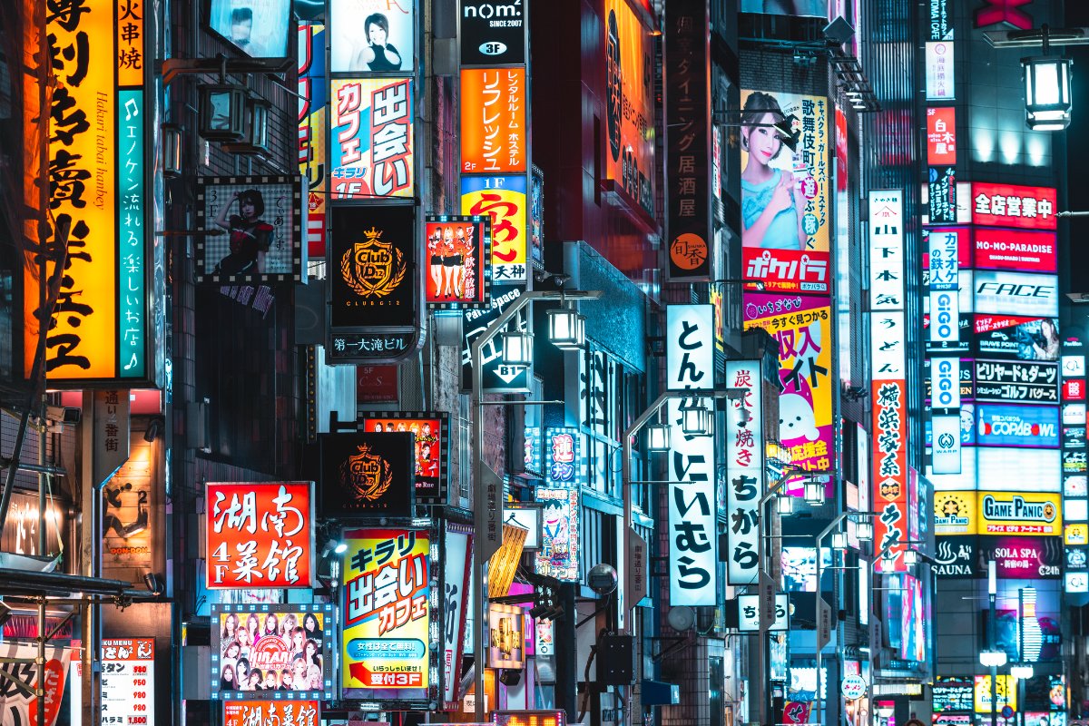 참고 이미지 3