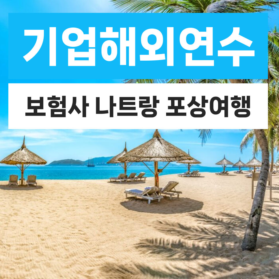 참고 이미지 1