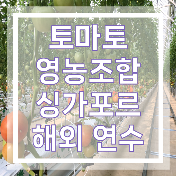 참고 이미지 1