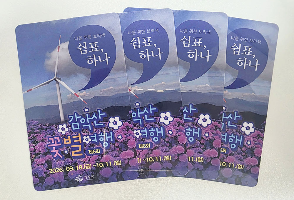 2026 거창 감악산 꽃별 아스타 국화 축제 당일 여행