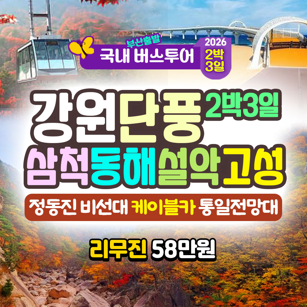 강원 동해 삼척 평창 인제 설악 2박3일 버스 투어