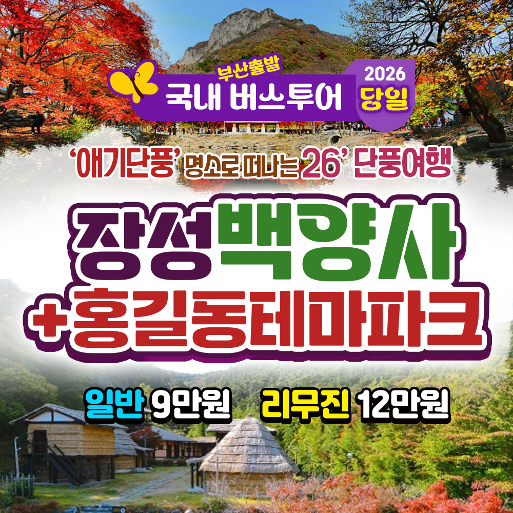 2026 가을단풍 장성 백양사 애기단풍 홍길동 테마파크 당일 버스 여행
