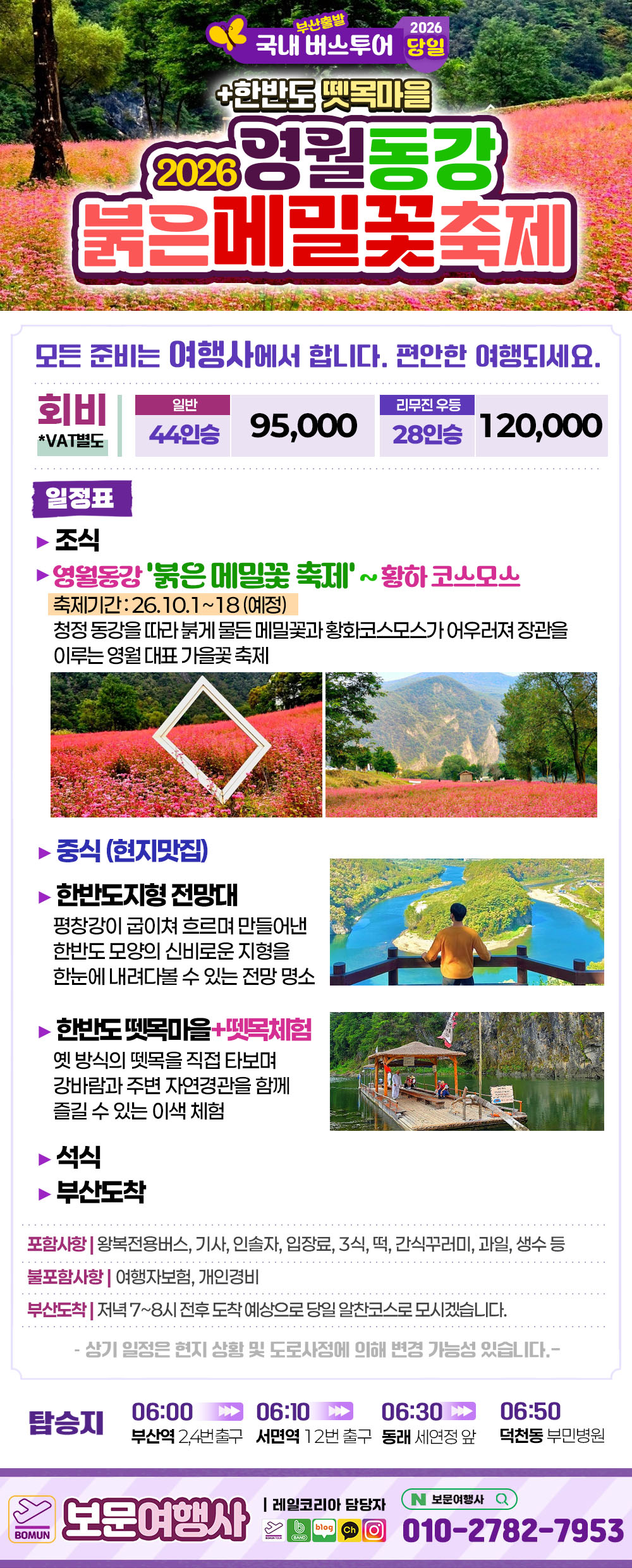 2026 거창 감악산 꽃별 아스타 국화 축제 당일 여행 복제