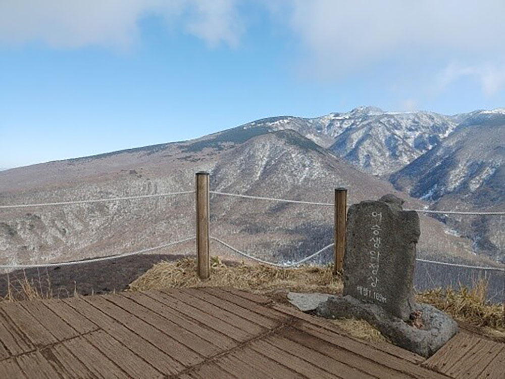 1677e8ed04012.jpg