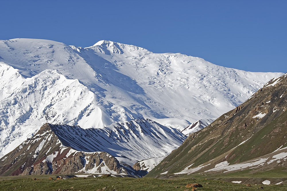 1fcc2ff5e2b76.jpg