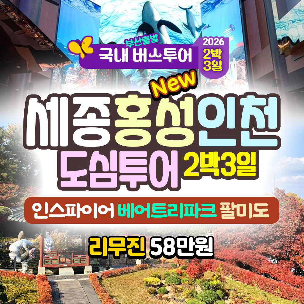 강원 동해 삼척 평창 인제 설악 2박3일 버스 투어