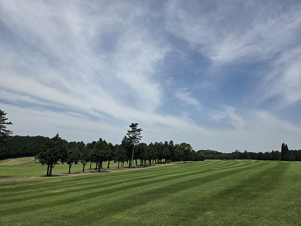 2aa9121935cf0.jpg