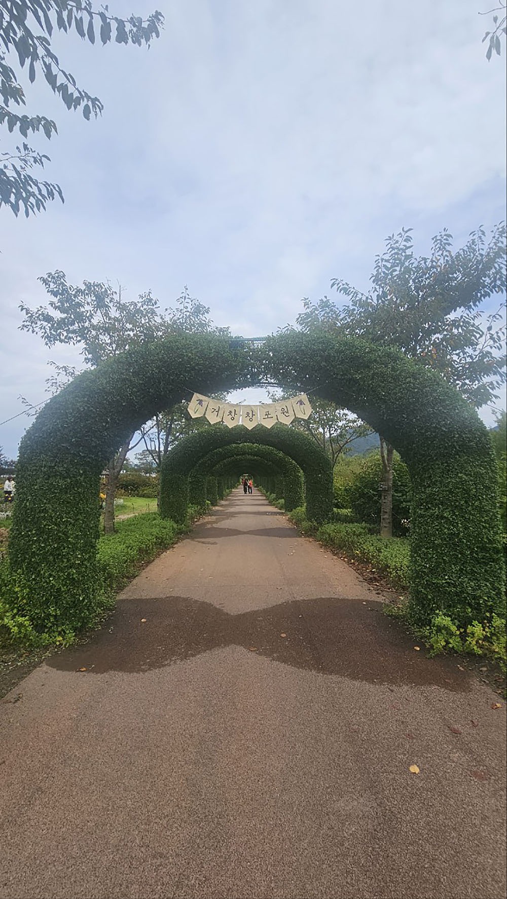 32b50fd82e7a7.jpg