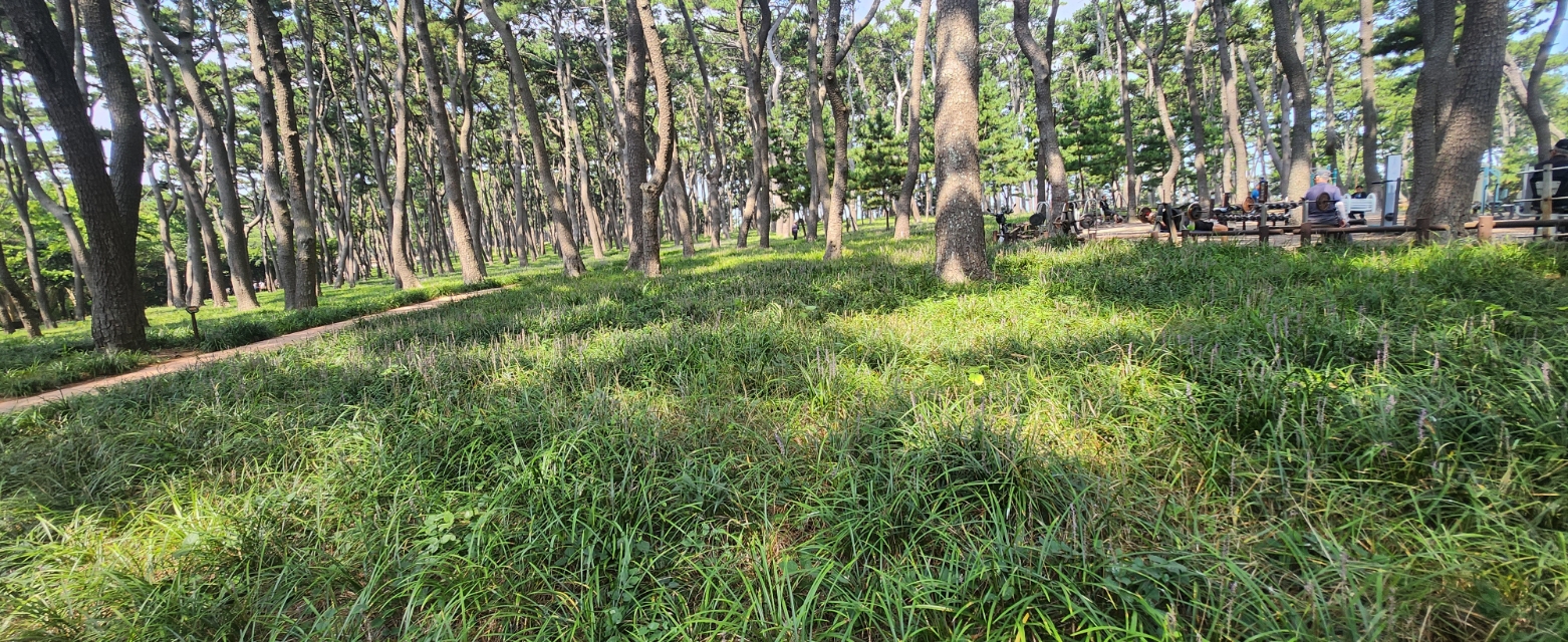 358ed1f828486.jpg