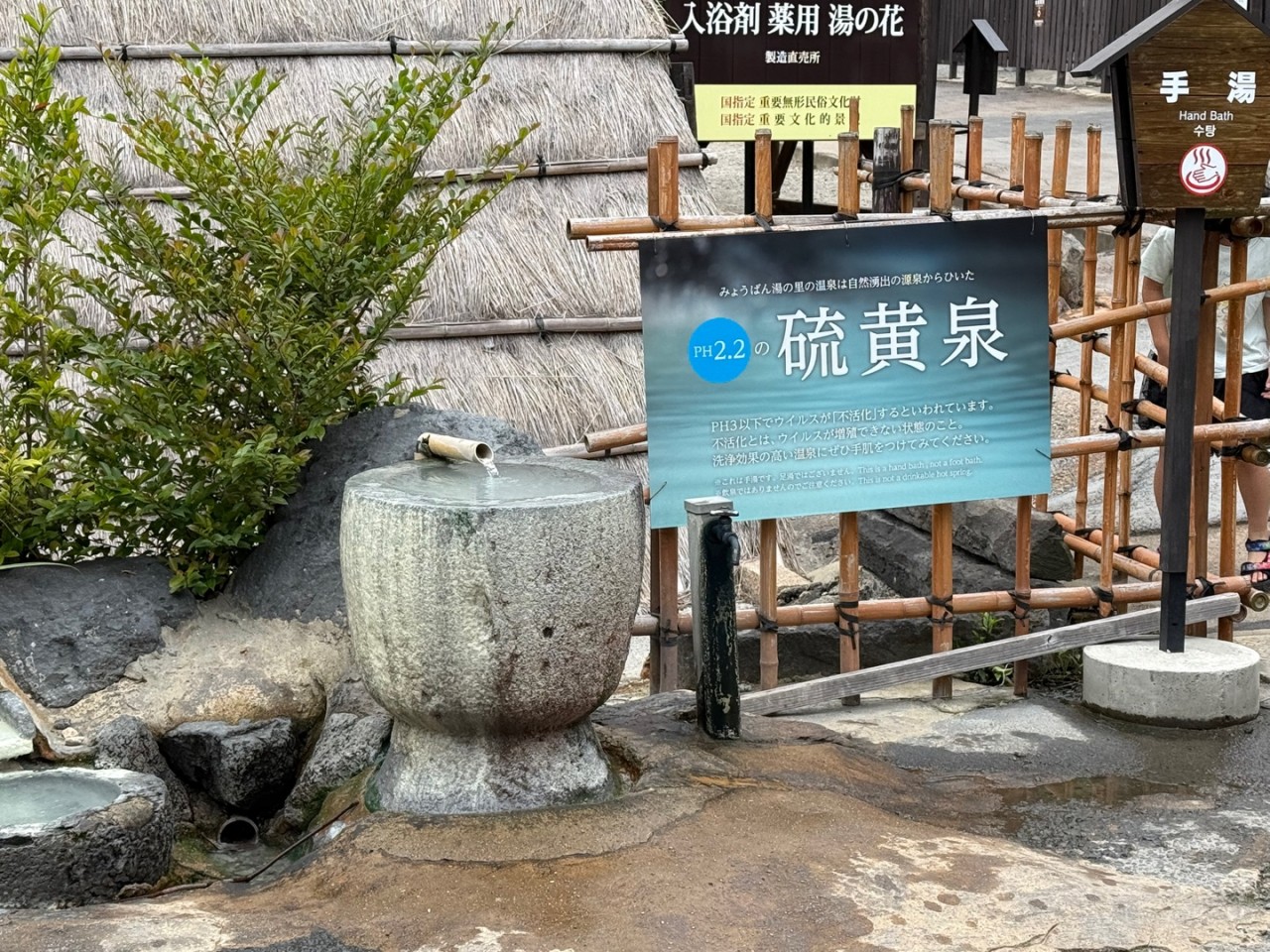 42c06fc04e116.jpg
