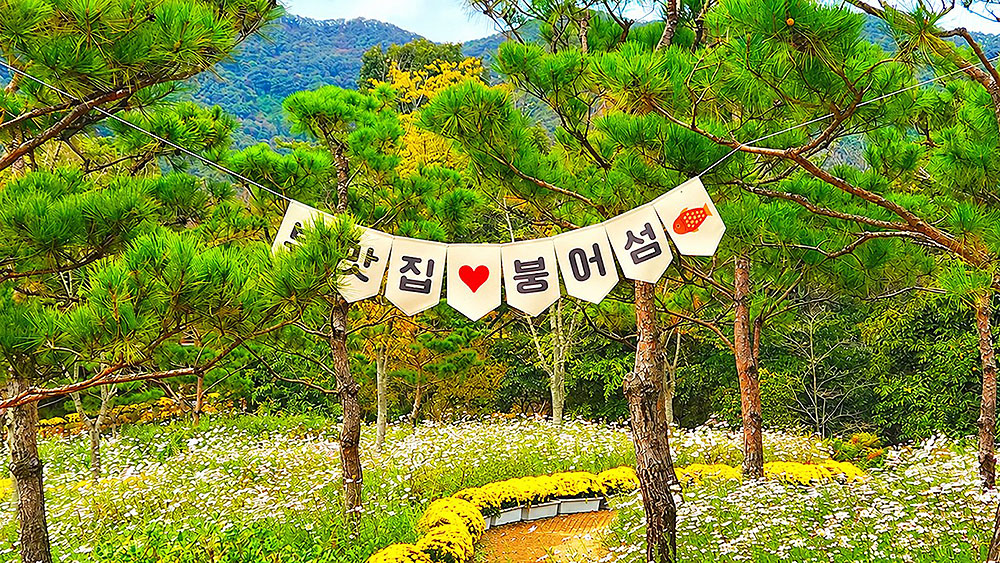 2026 임실N치즈축제 + 옥정호 붕어섬 당일 버스 여행