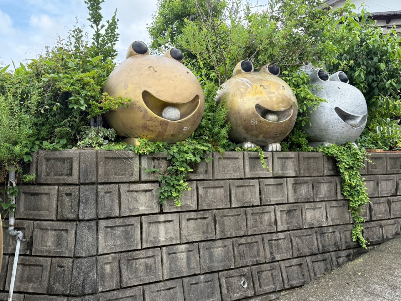46380835d136f.jpg
