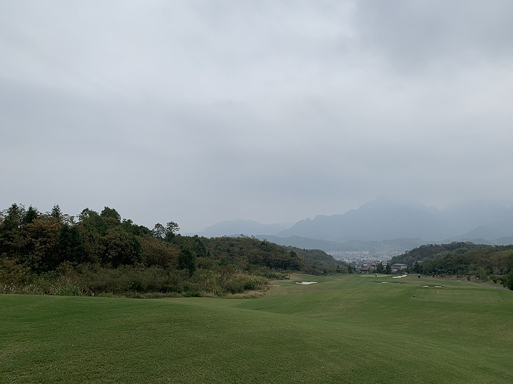 4afa313726a72.jpg