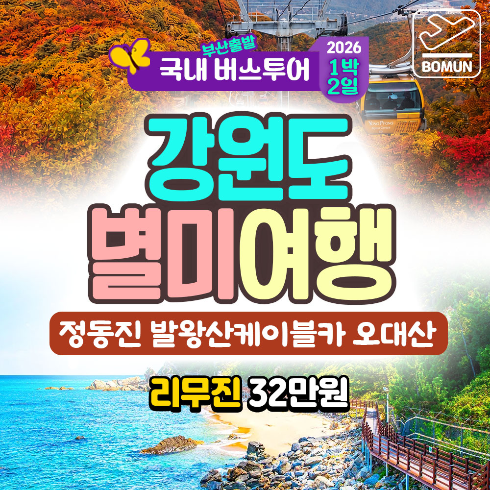 춘천 남이섬 철원 한탄강 1박2일 버스 여행 복제