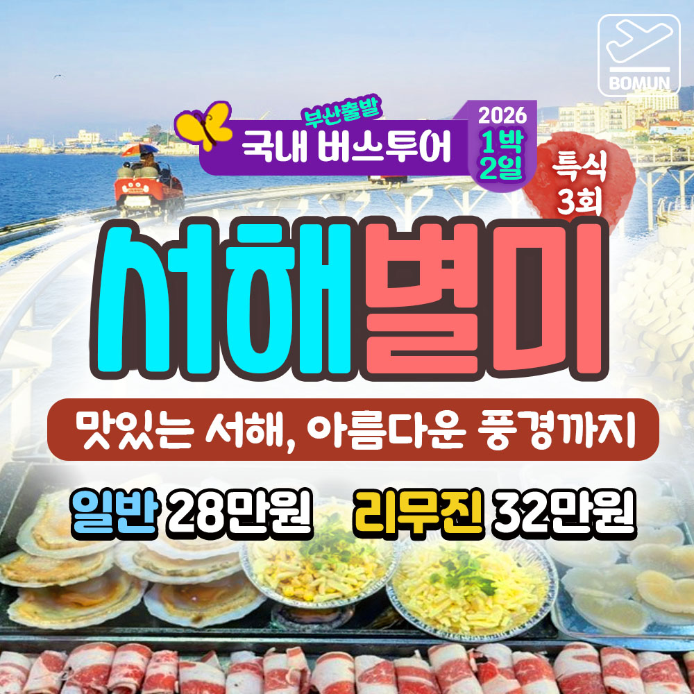 2026 거창 감악산 꽃별 아스타 국화 축제 당일 여행