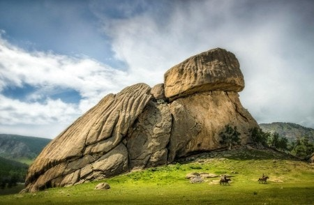 사용자가 올린 이미지