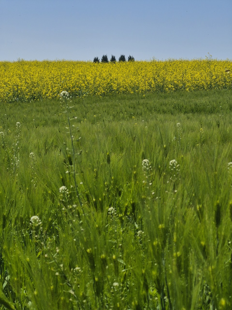 624996d5078b8.jpg