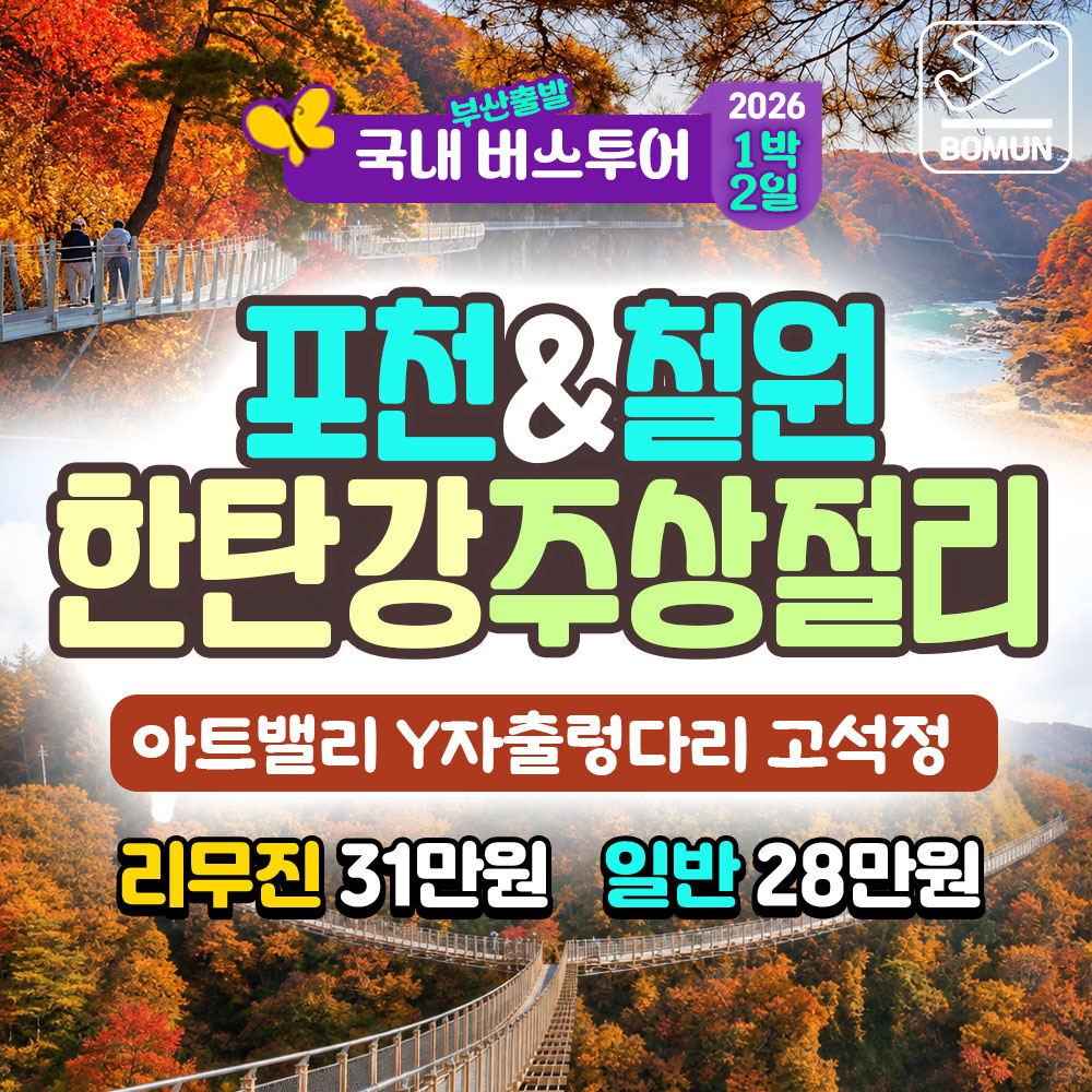 2026 거창 감악산 꽃별 아스타 국화 축제 당일 여행