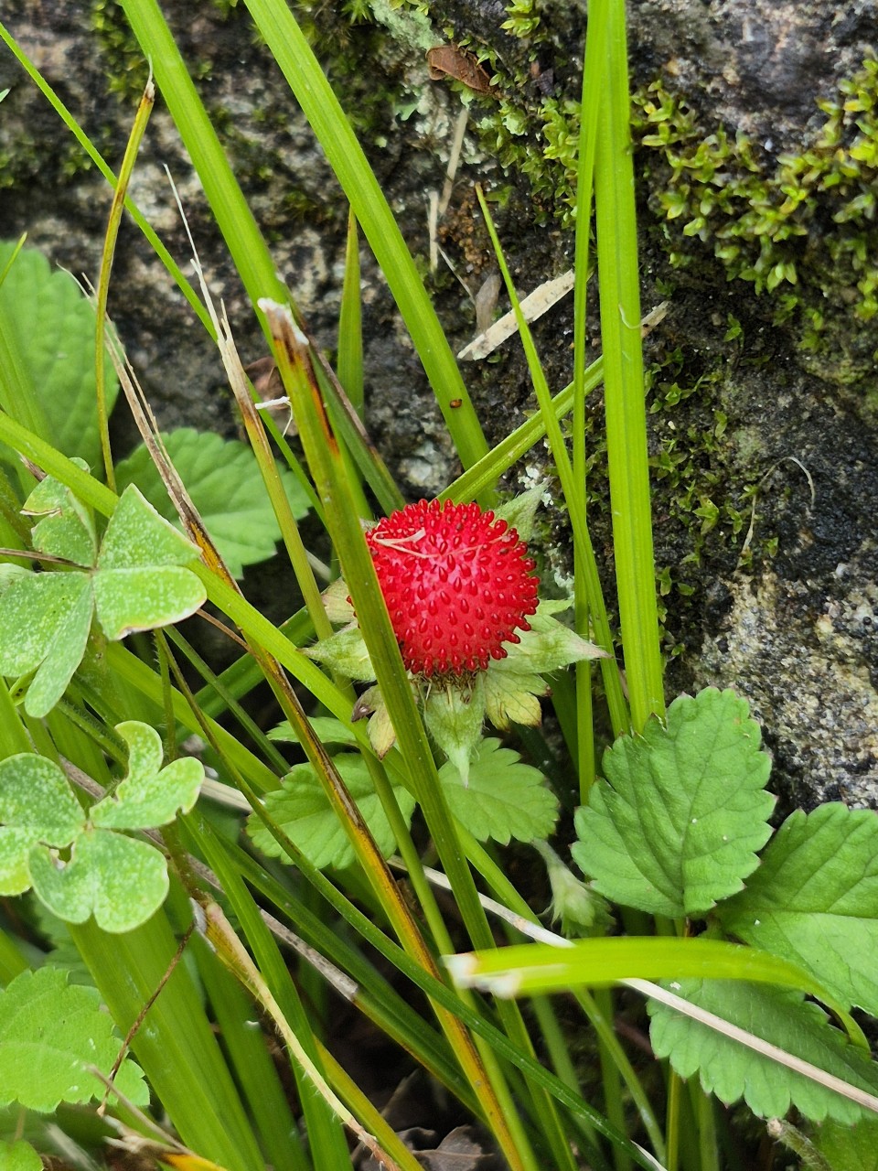 8842d928c4504.jpg