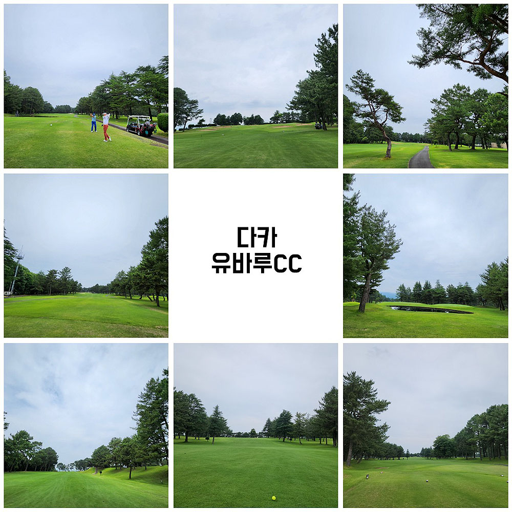 88e1d8577cd7e.jpg