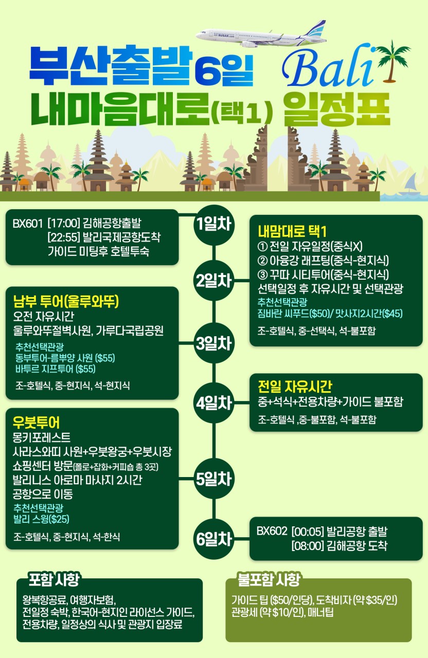 발리라이브 이미지