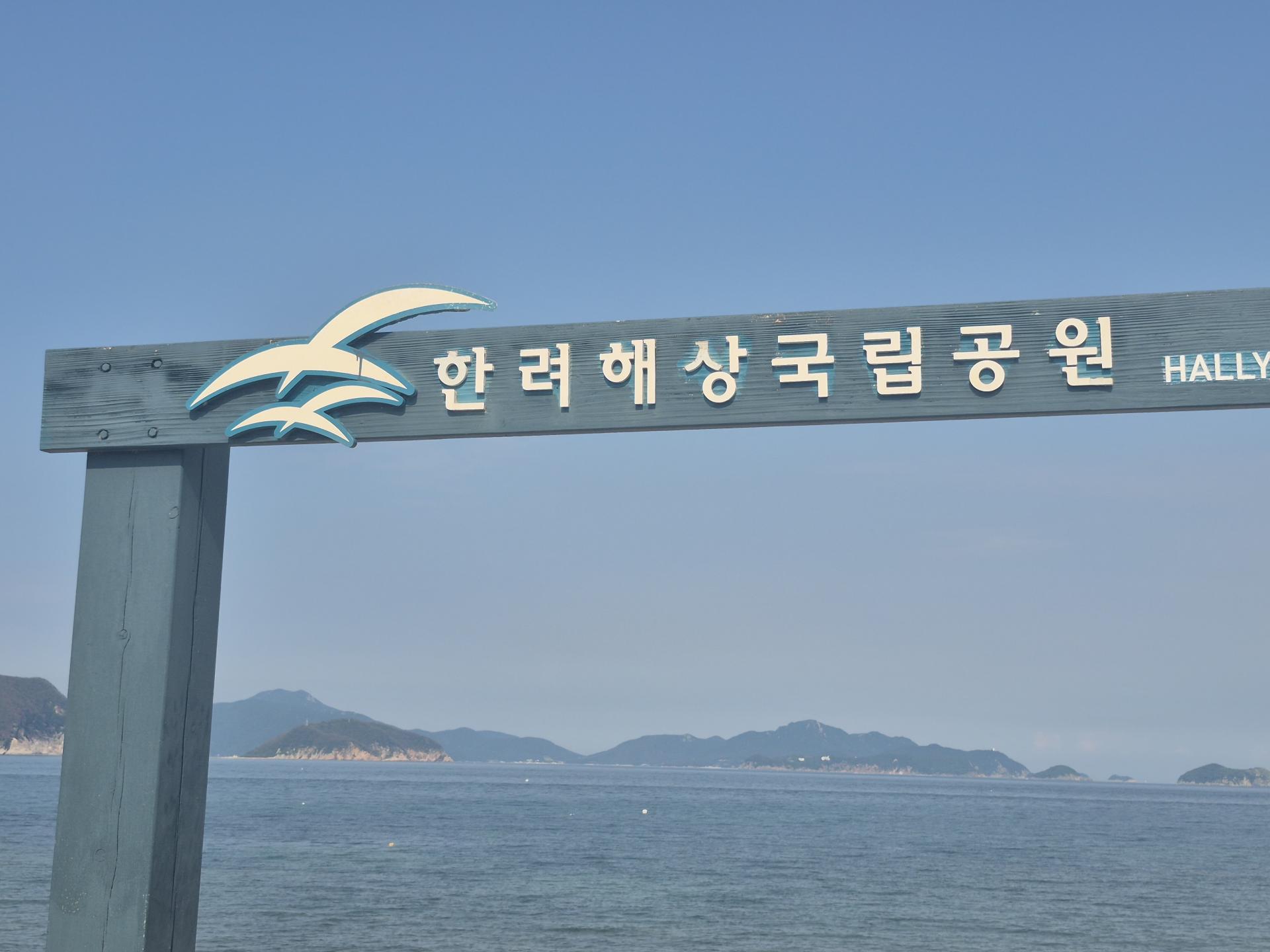9d03395e04d7f.jpg
