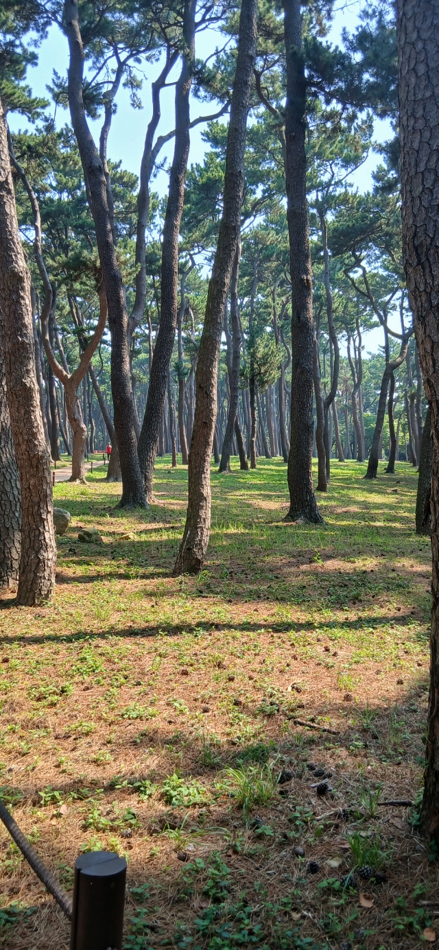 b4e043c1989a2.jpg