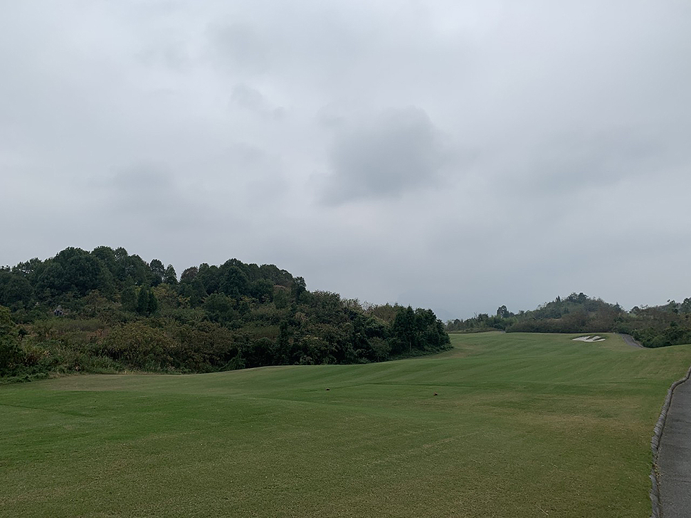 b6c9ca2331d44.jpg