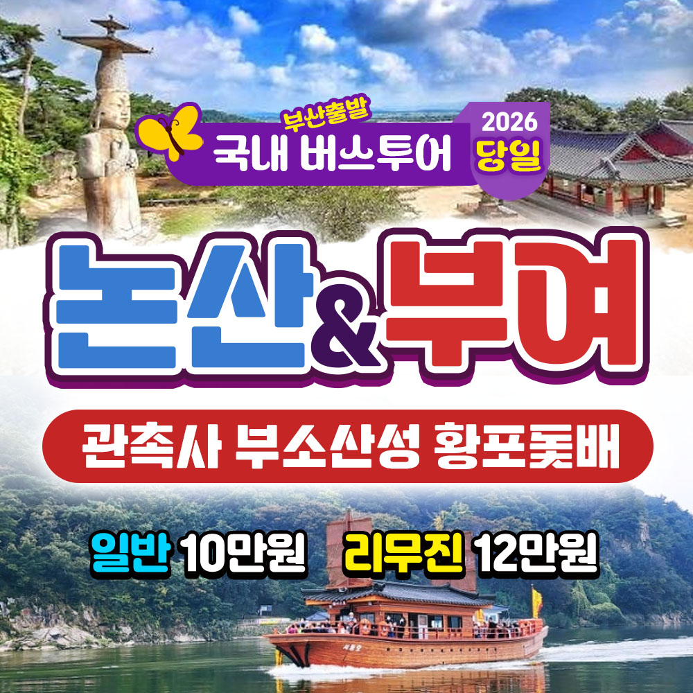 2026 거창 감악산 꽃별 아스타 국화 축제 당일 여행