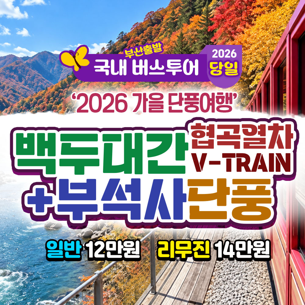2026 가을단풍 백두대간 협곡열차 + 영주 부석사 단풍 당일 여행 국내 당일 여행