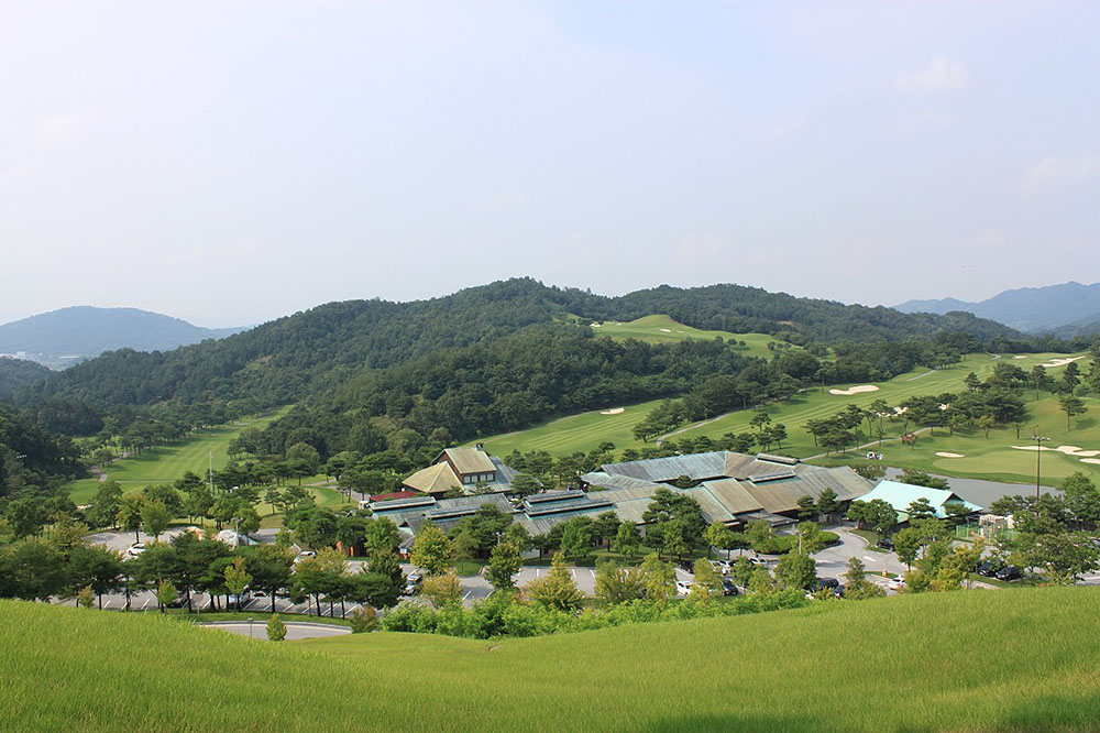 c83f32056433e.jpg