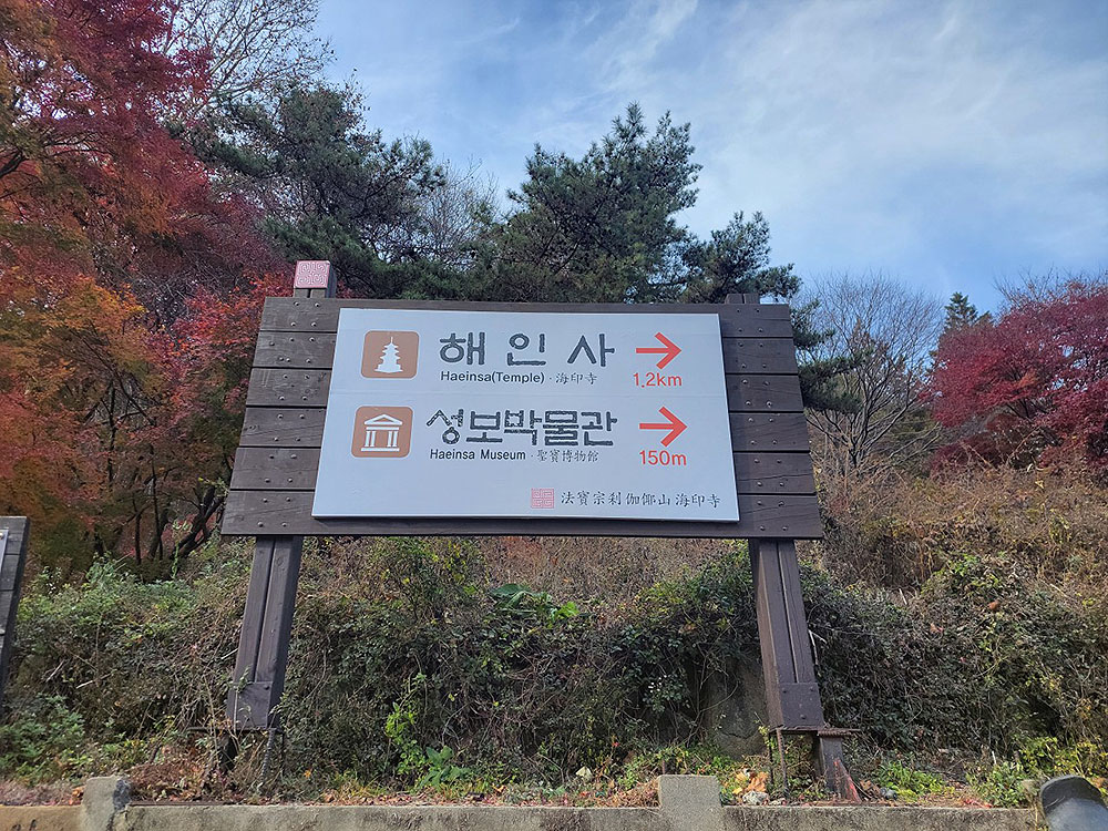 ce1b82150747d.jpg