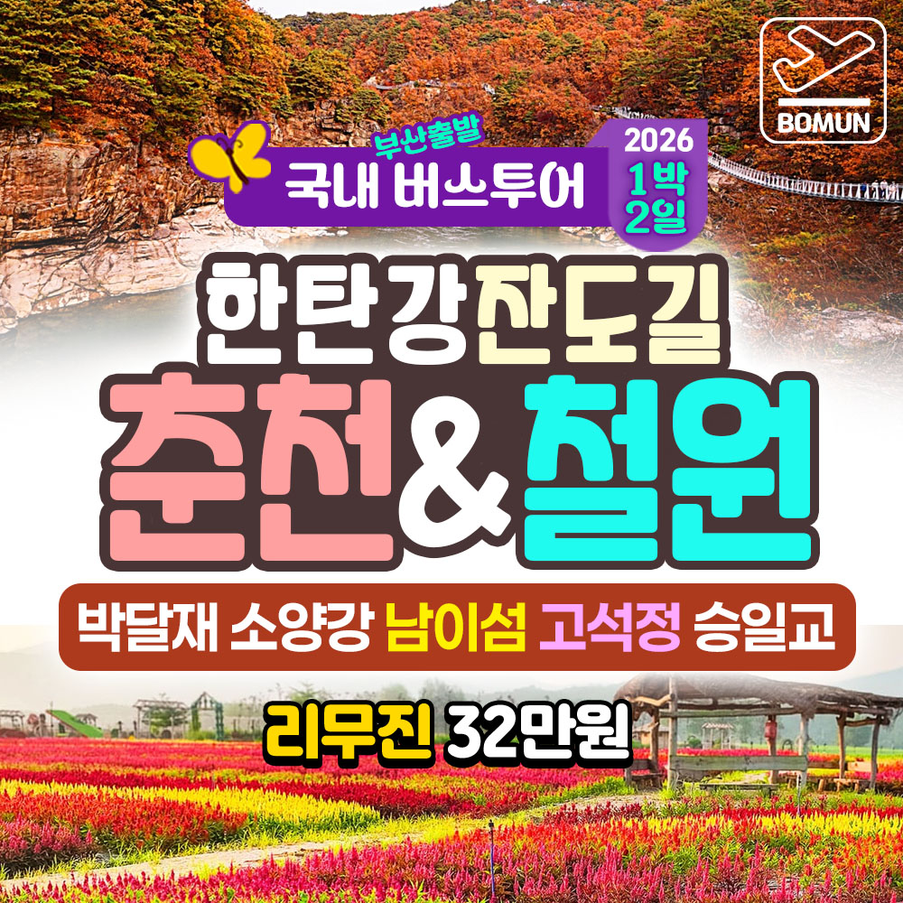 2026 거창 감악산 꽃별 아스타 국화 축제 당일 여행