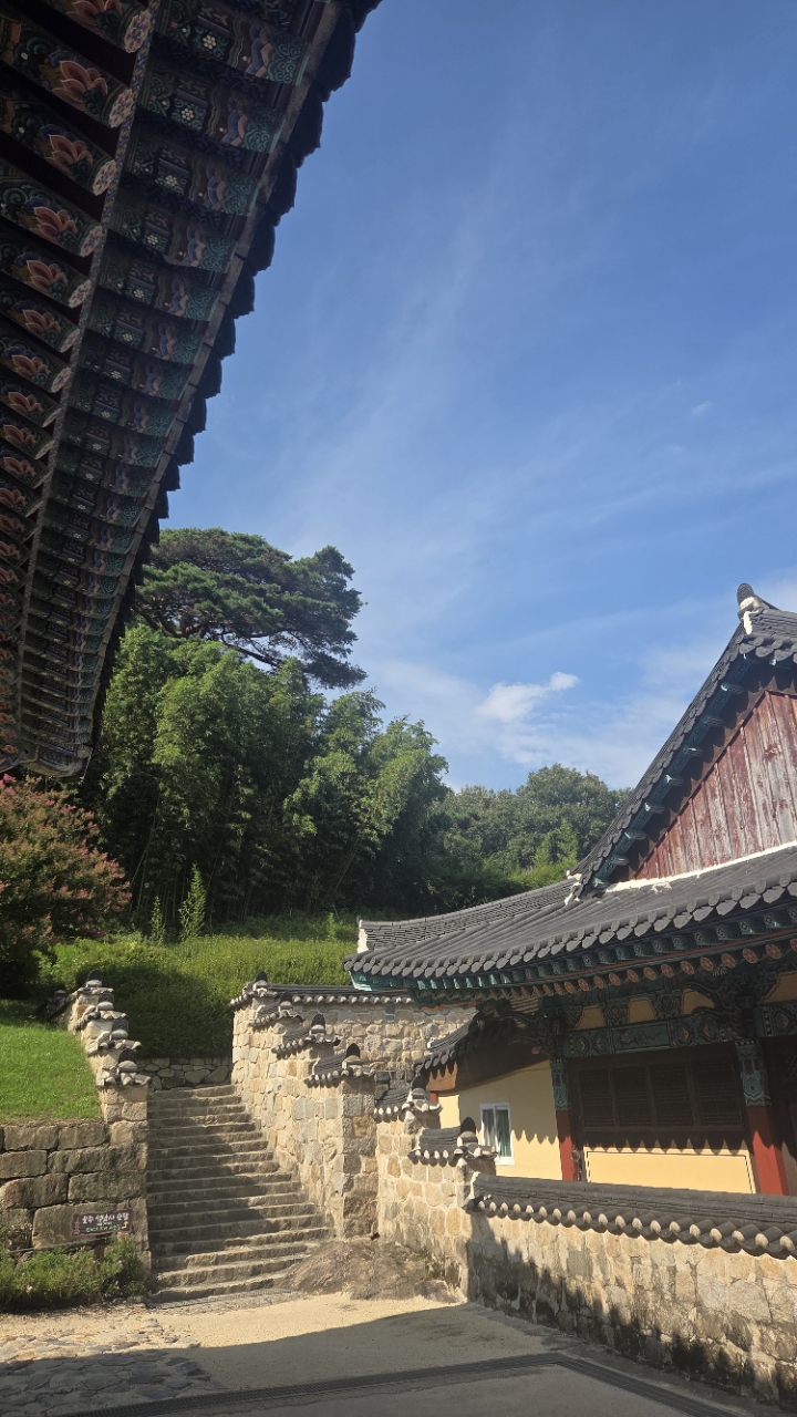 d21adc9b807a7.jpg